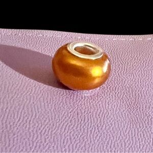 Elegant dark orange spacer Charm Bead NWT